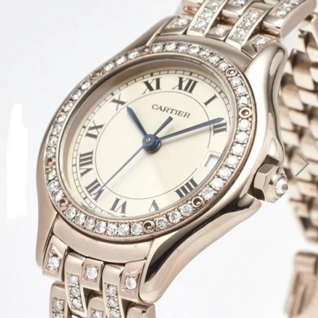 CARTIER PANTHERE COUGER Quartz 27mm Steel Diamond Watch