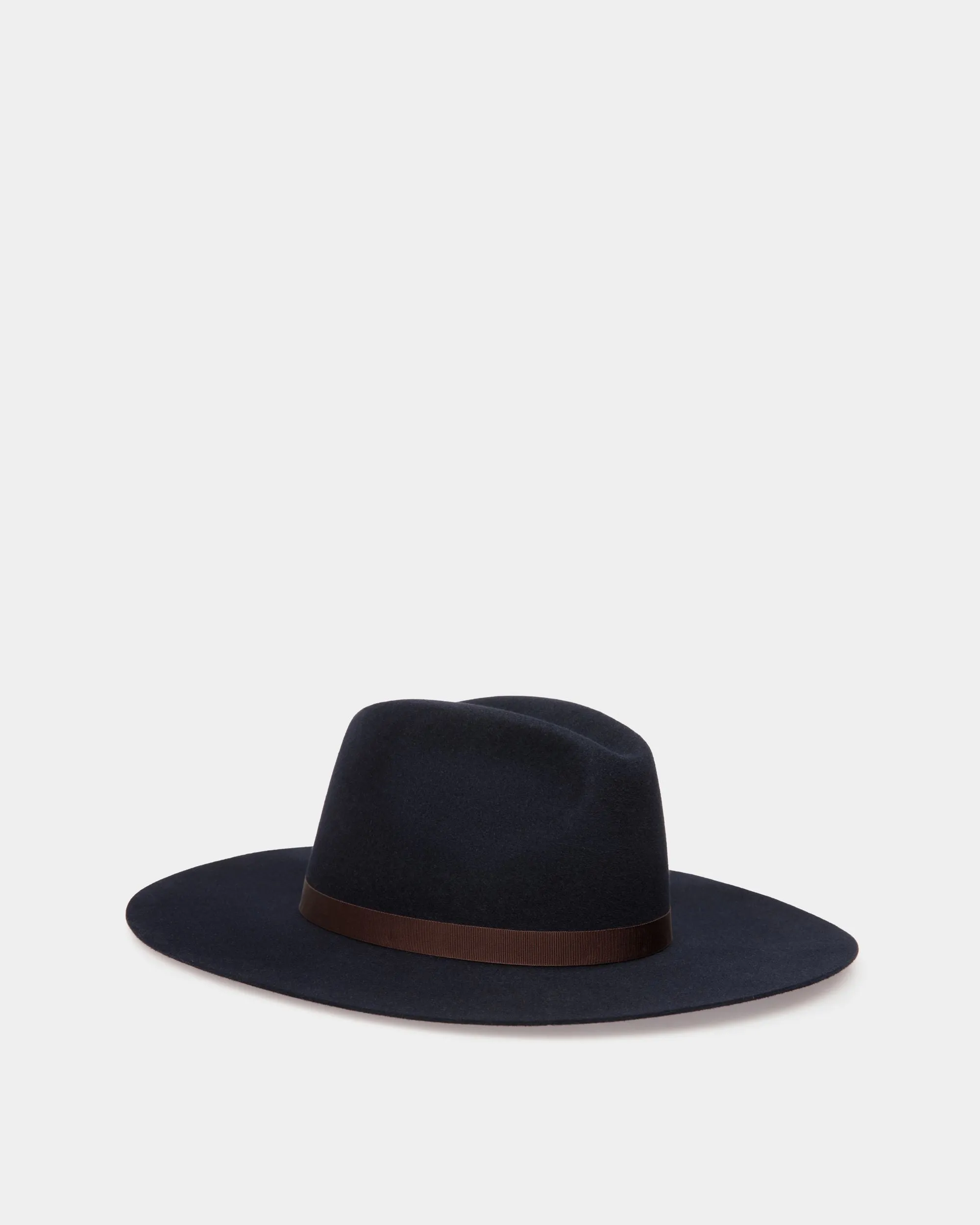 Large Brim Hat In Navy Blue Felt 