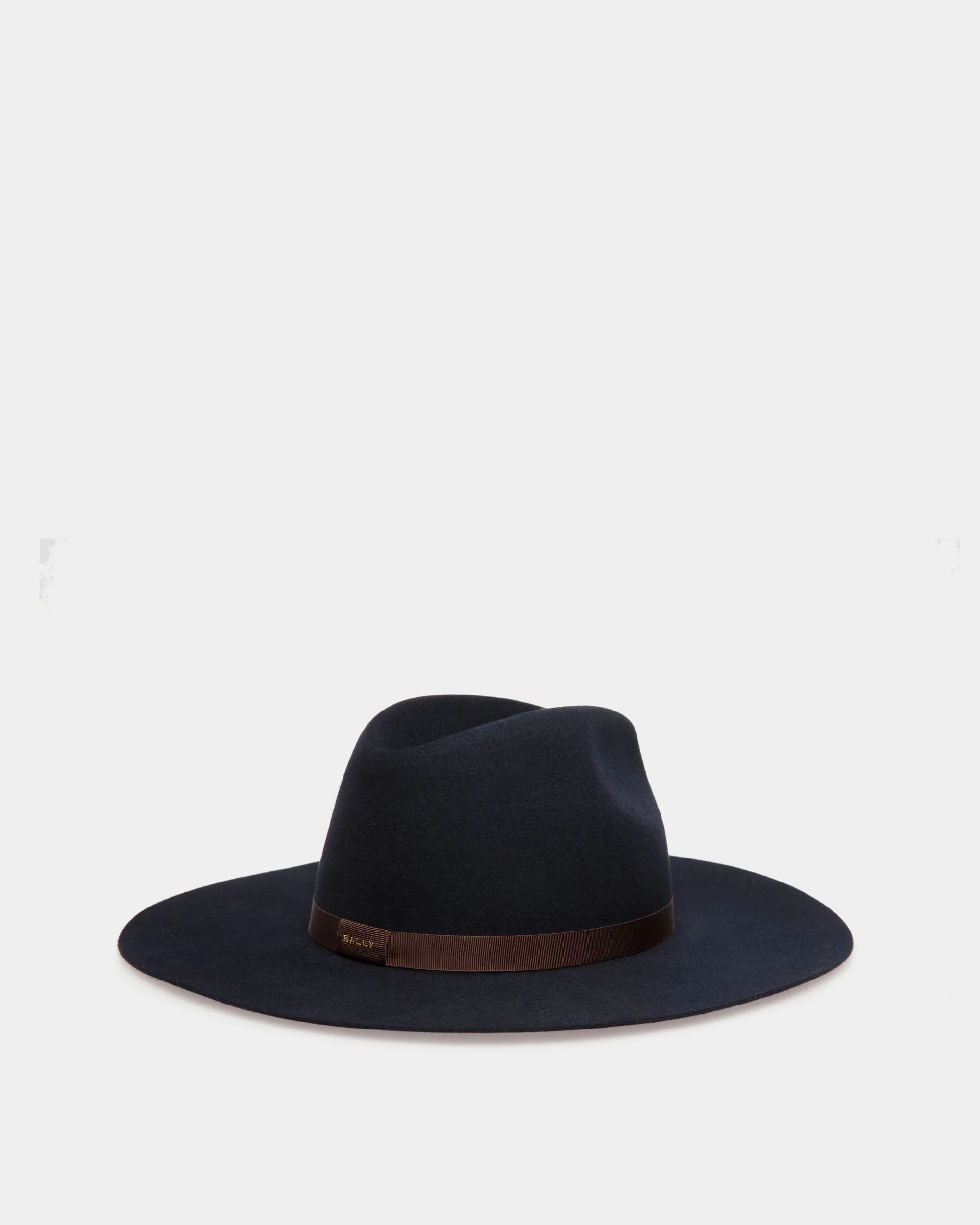 Large Brim Hat In Navy Blue Felt 