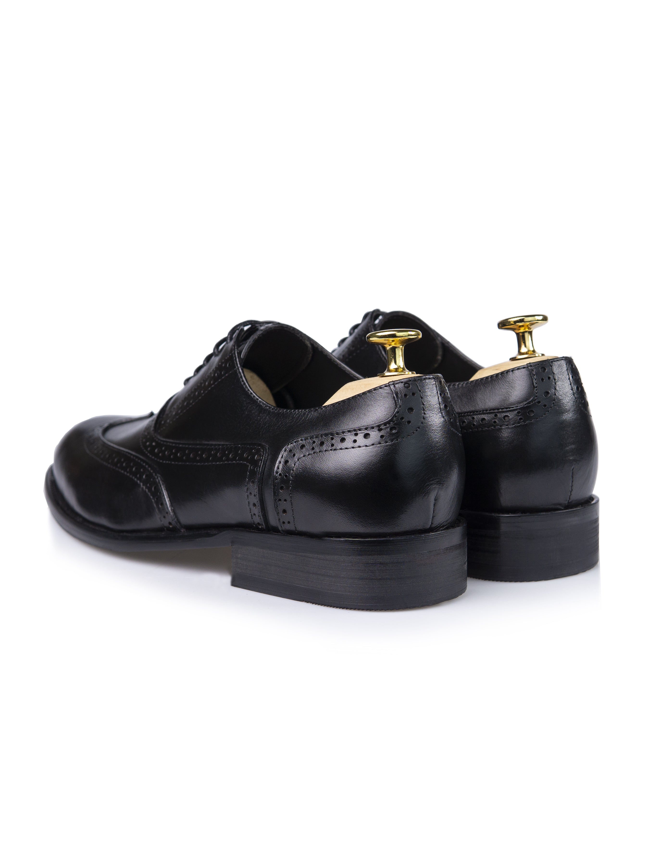 Oxford Brogue Wingtip - Black Lace Up